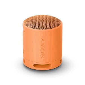 Sony SRS-XB100 Wireless Bluetooth Speaker